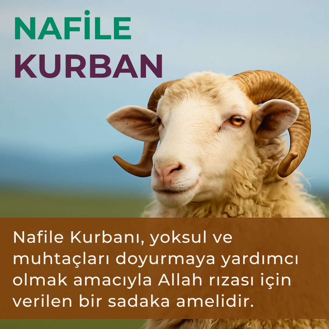 Nafile Kurban